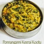 Ponnanganni Keerai Kootu Recipe (with Moong dal)| Kootu Recipes 1