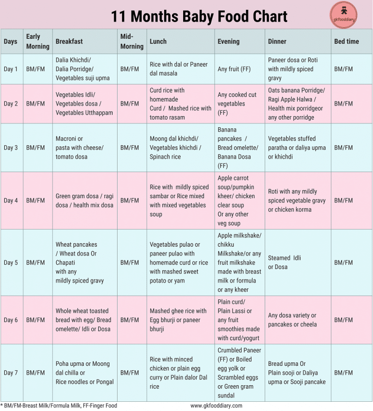 11 Months Baby Food Chart | 11 Months Baby Food Options