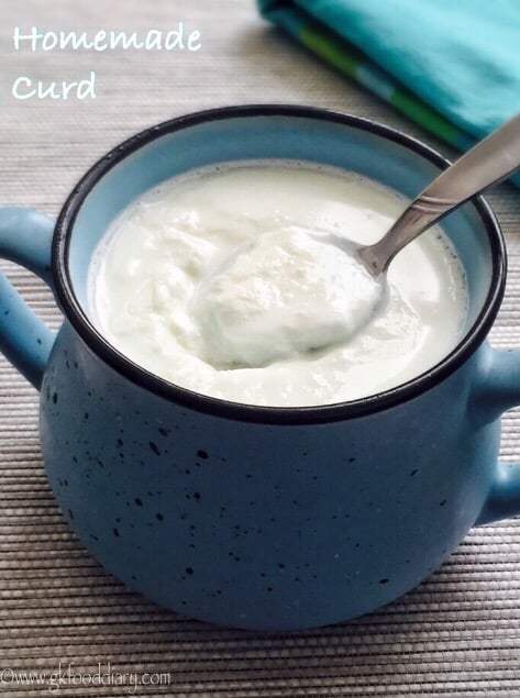 Homemade Curd For Babies, Toddlers, Kids