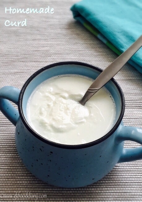 Homemade Curd For Babies, Toddlers and Kids