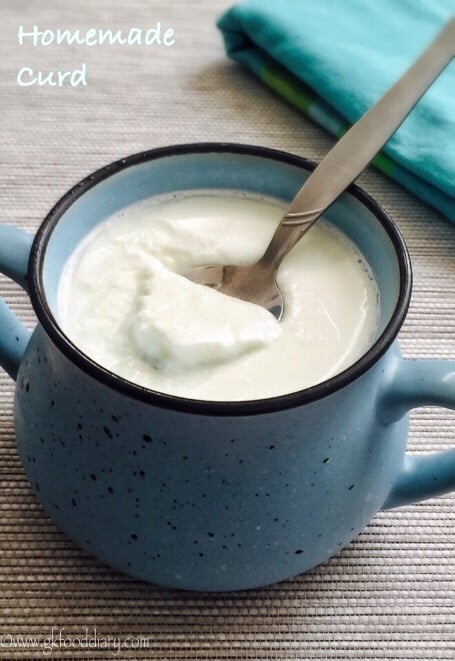 Homemade Curd For Babies