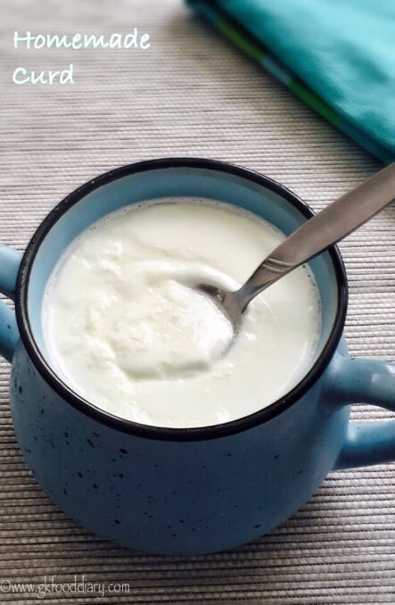 Homemade Yogurt