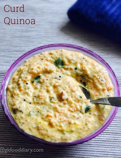 Curd Quinoa Recipe for Babies, Toddlers