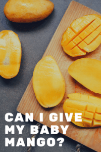 Can I Give my Baby Mango ?