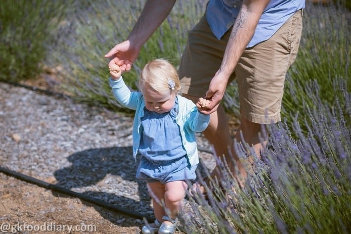 Help Your Baby Start Walking