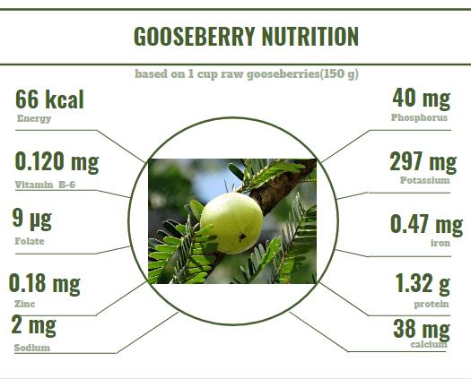 GooseBerry Nutrition