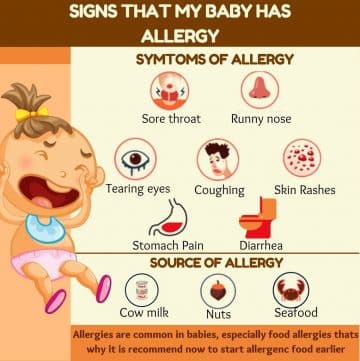 From Breastfeeding to Food Allergy: A Parent's Guide to Feeding Your ...