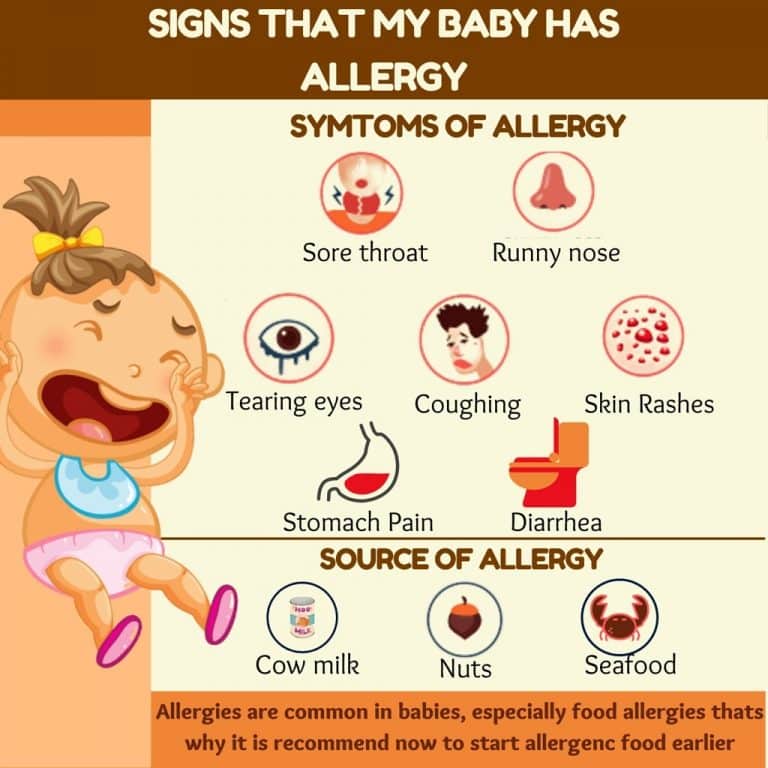 From Breastfeeding to Food Allergy A Parent's Guide to Feeding Your