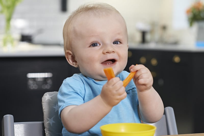 Baby led weaning food list