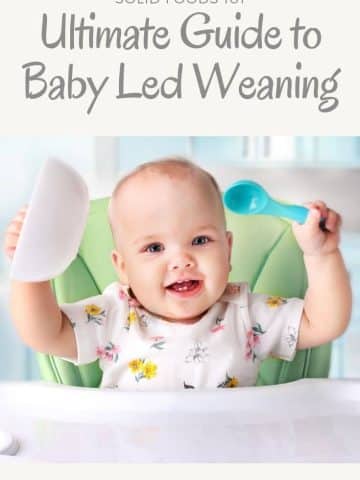Solid Foods 101 Your Ultimate Guide to Baby-Led Weaning
